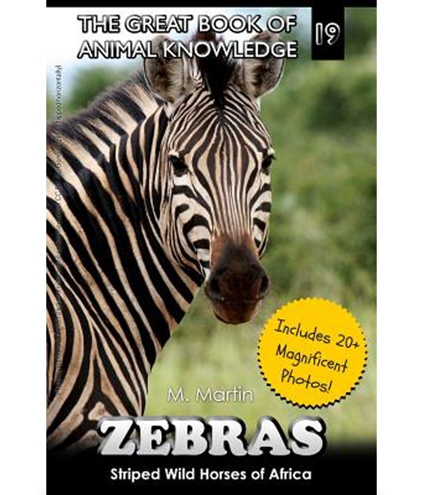 Zebras Buy Zebras Online at Low Price in India on Snapdeal