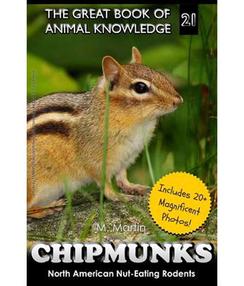 Chipmunks: Buy Chipmunks Online at Low Price in India on Snapdeal