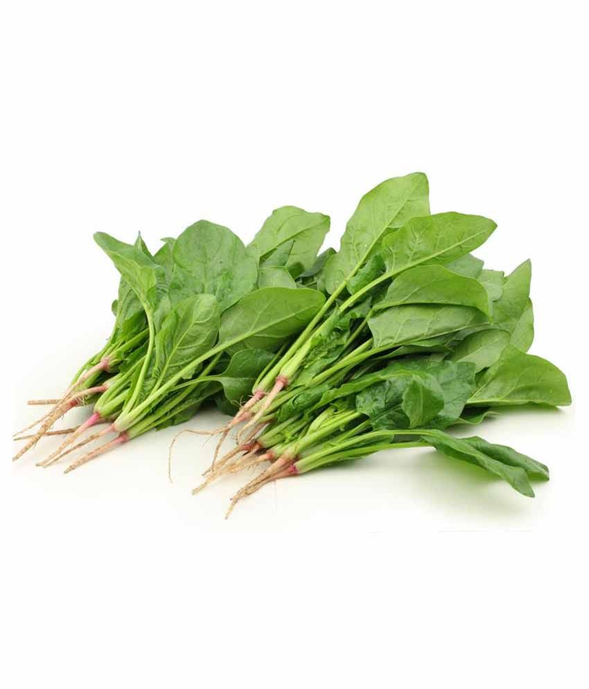 Nelesa Gardening Palak Indian Spinach Hybrid Vegetabls