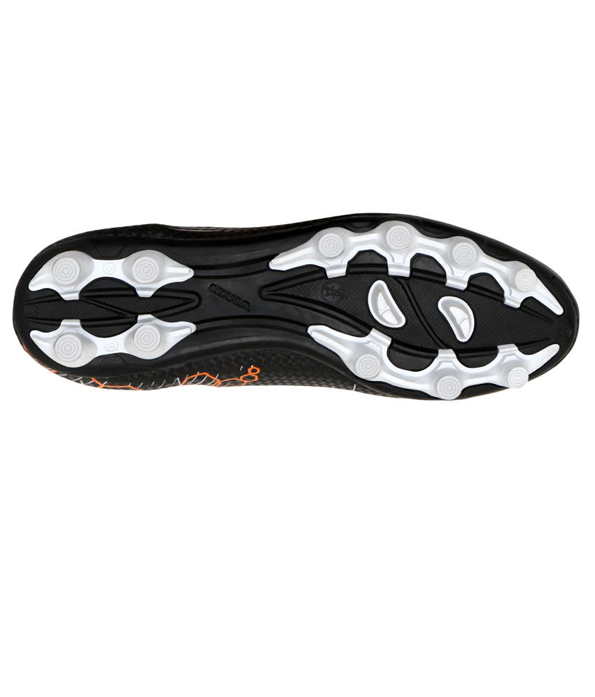 nivia raptor