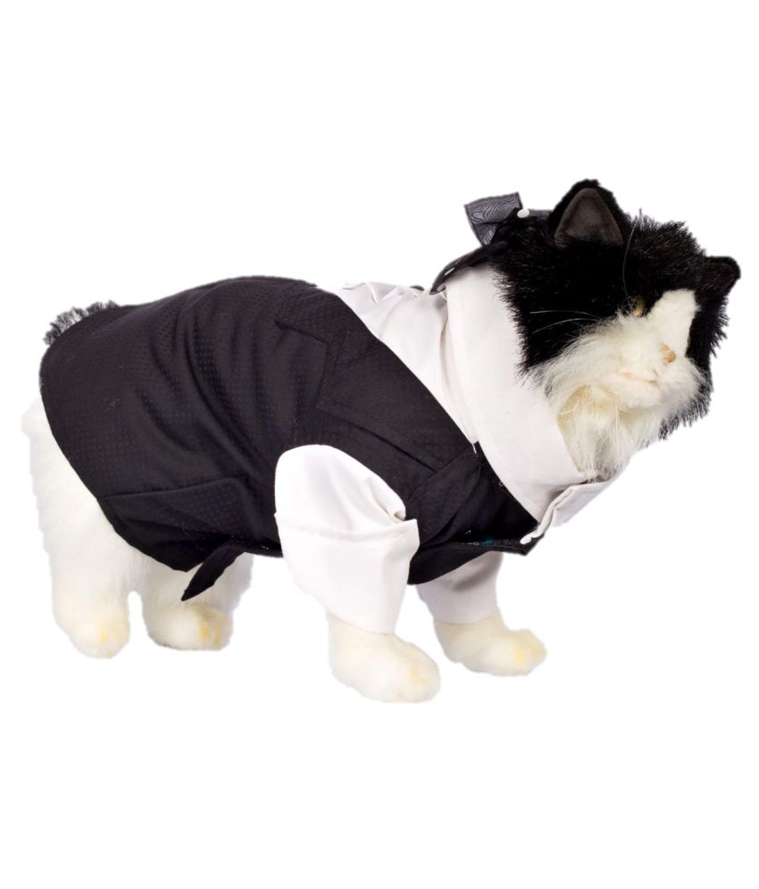 Petriot Black Cotton Cats Jacket Buy Petriot Black Cotton Cats Jacket