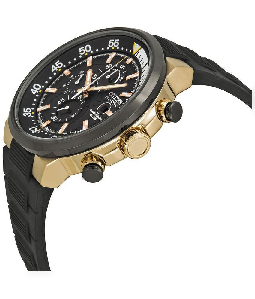 citizen endeavor watch