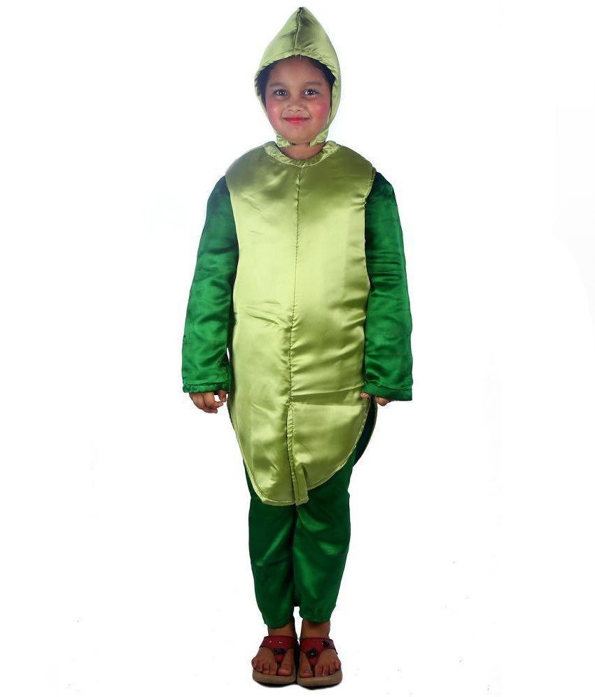 vegetable fancy dress costumes