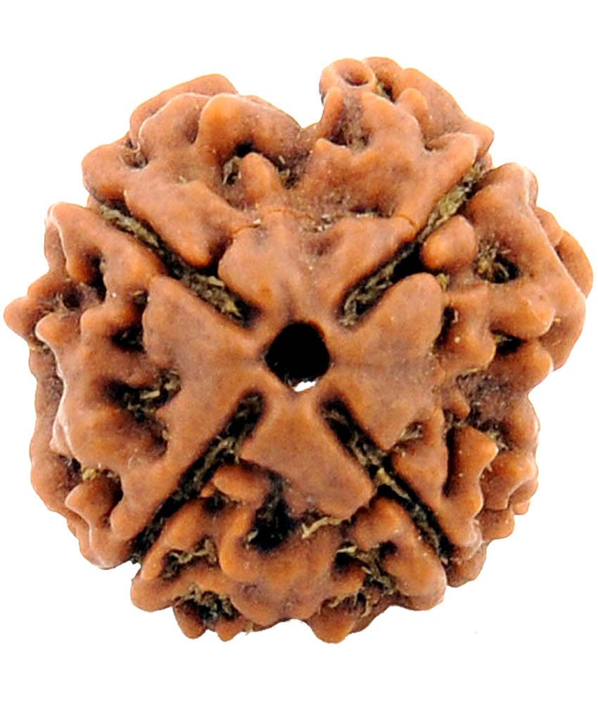     			Shopoj Certified 4 Mukhi Nepal Rudraksha -brown