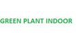 Green plant indoor