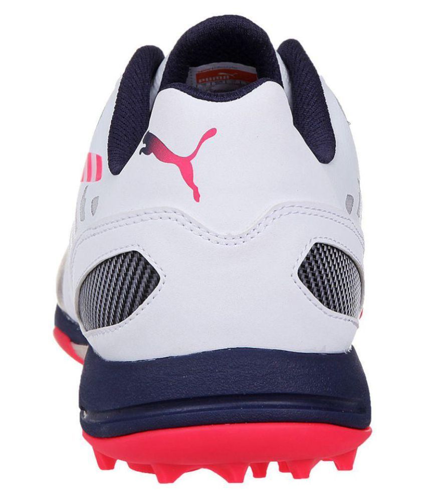 Puma White Cricket Shoes Buy Puma White Cricket Shoes Online at Best