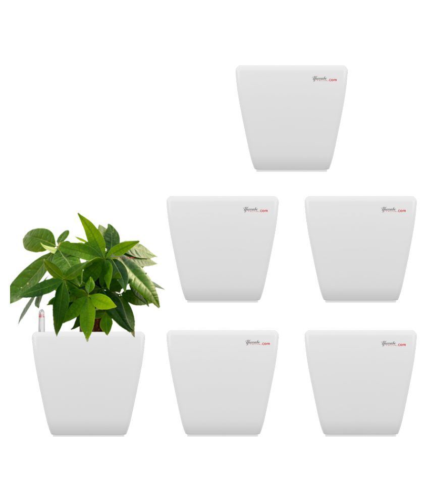 Yuccabe Italia Self watering Both Plant container Buy Yuccabe Italia