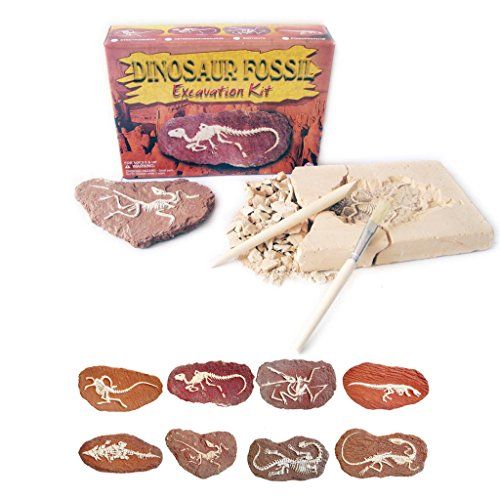 dinosaur egg fossil excavation kit