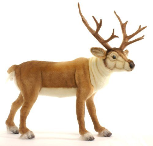 hansa deer