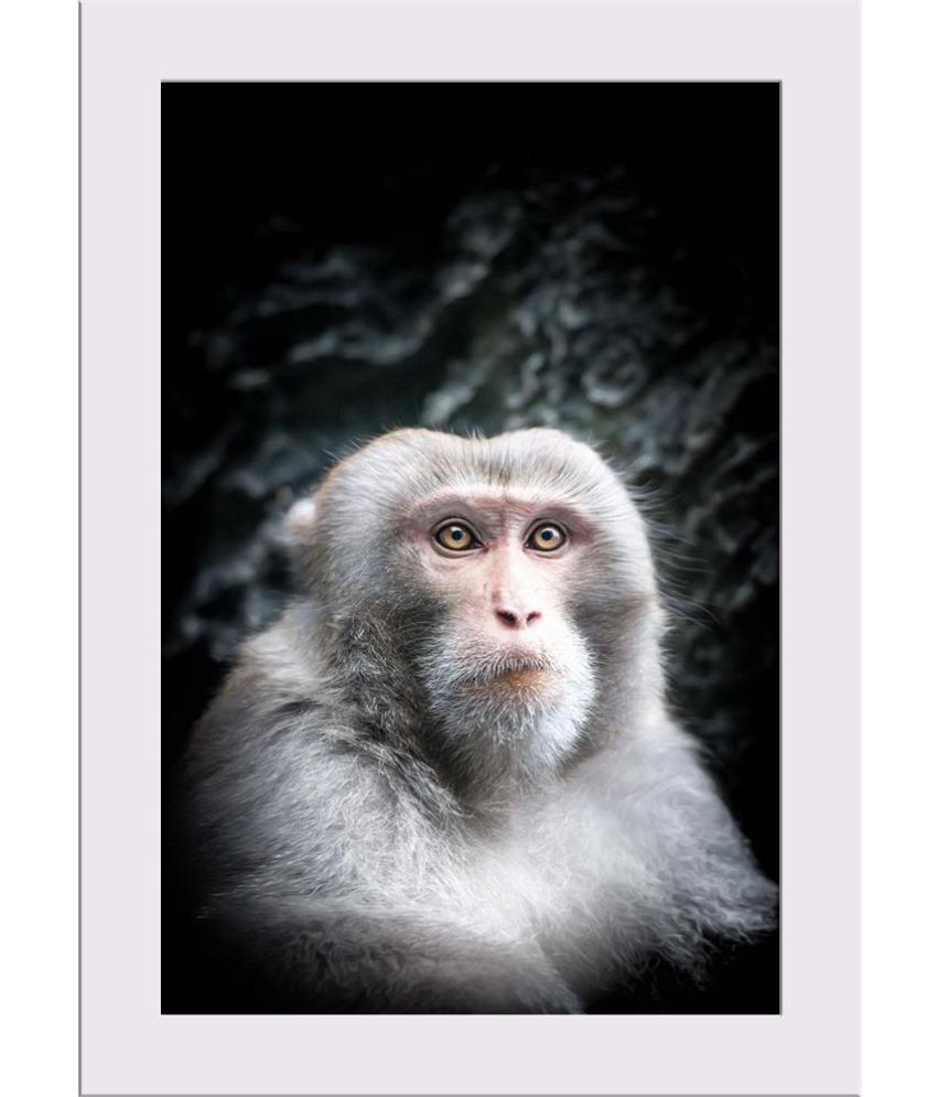 Artzfolio Gallery Canvas Art Prints With Frame Single Piece Buy Artzfolio Gallery Canvas Art Prints With Frame Single Piece At Best Price In India On Snapdeal Artzfolio Gallery Canvas Art Prints With Frame Single Piece Buy Artzfolio Gallery Canvas Art Prints With Frame Single Piece At Best Price In India On Snapdeal