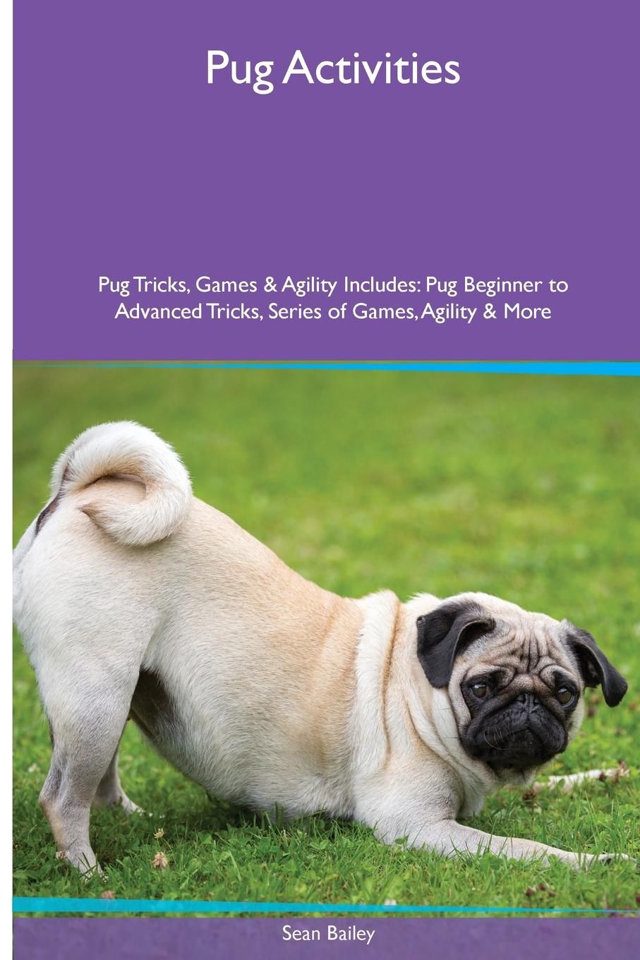 pug activities pug activities pug tricks agility includes pug beginner to advanced tricks pug activities pug activities pug tricks agility includes pug beginner to advanced tricks