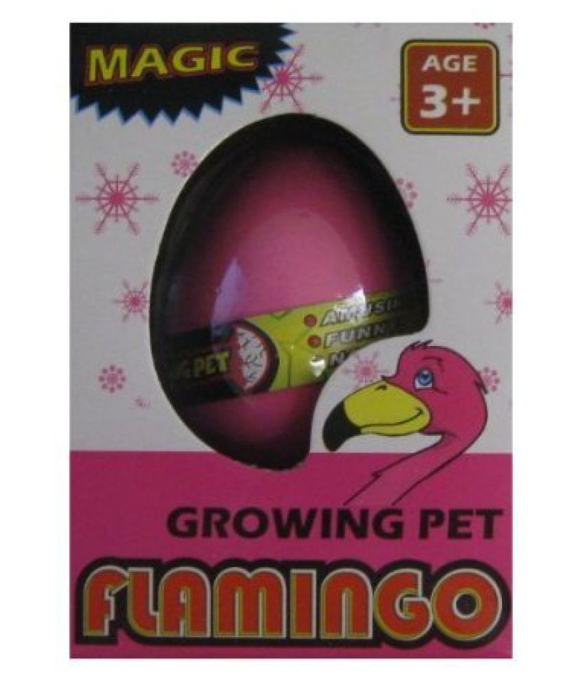 Hatching Flamingo Egg Growing Pet Buy Hatching Flamingo Egg Growing
