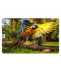 Printland 8GB USB 2.0 Fancy Pendrive Multicolour