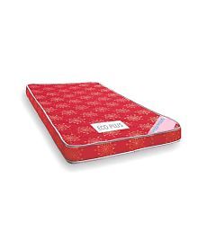 Foam Mattress Buy Foam Mattress line at Best Prices in India on