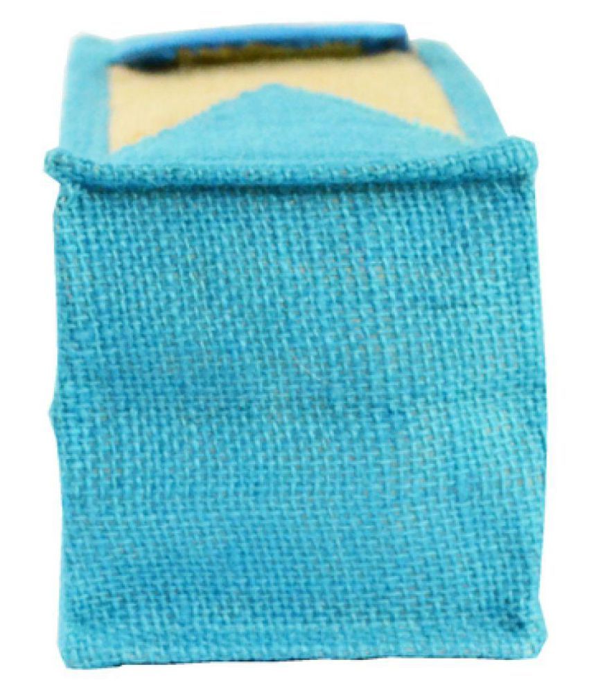 baby blue lunch bag