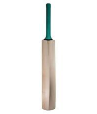 Ally Allygater Kashmir Willow Bat