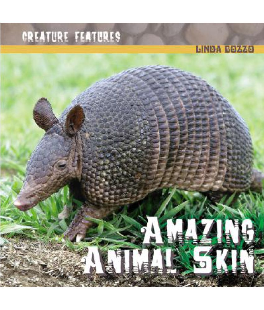Amazing Animal Skin: Buy Amazing Animal Skin Online at Low Price in India  on Snapdeal