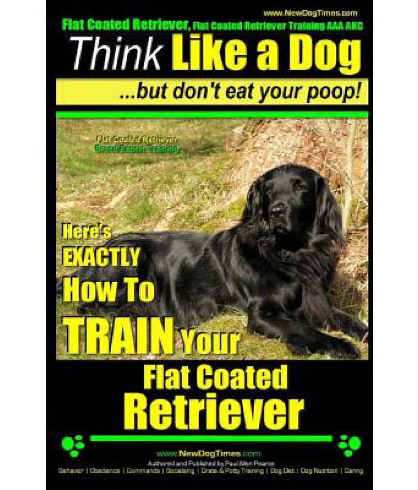 akc flat coated retriever