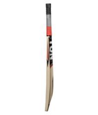 SS Kashmir Willow Tennis Bat