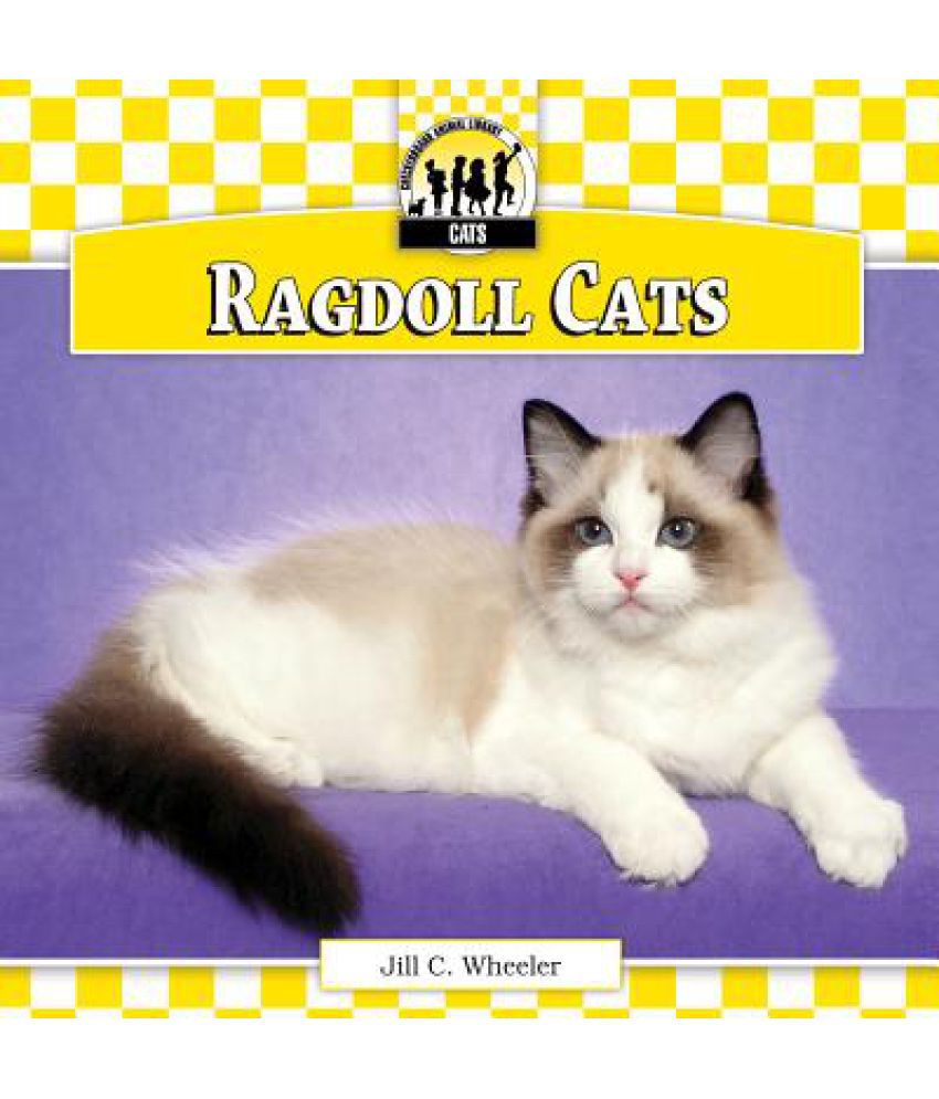 Ragdoll Cats: Buy Ragdoll Cats Online at Low Price in India on Snapdeal