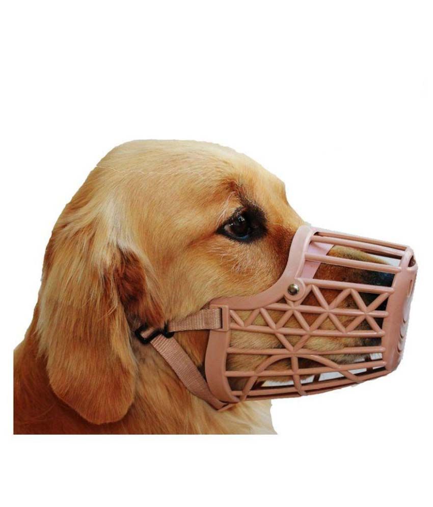 dog accessories websites