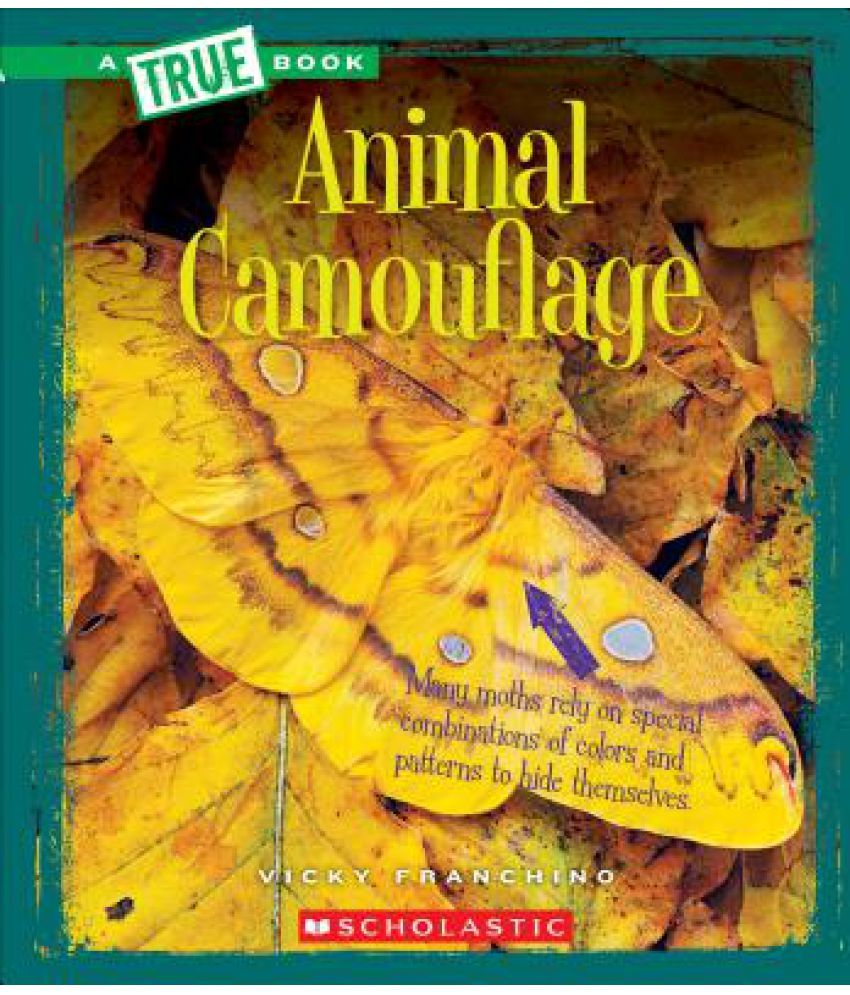 Animal Camouflage Buy Animal Camouflage Online at Low