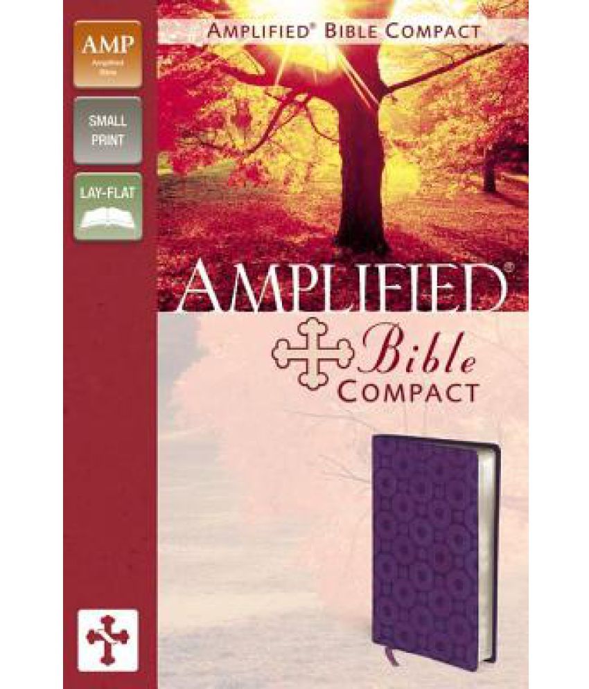 Amplified Buy Amplified Online at