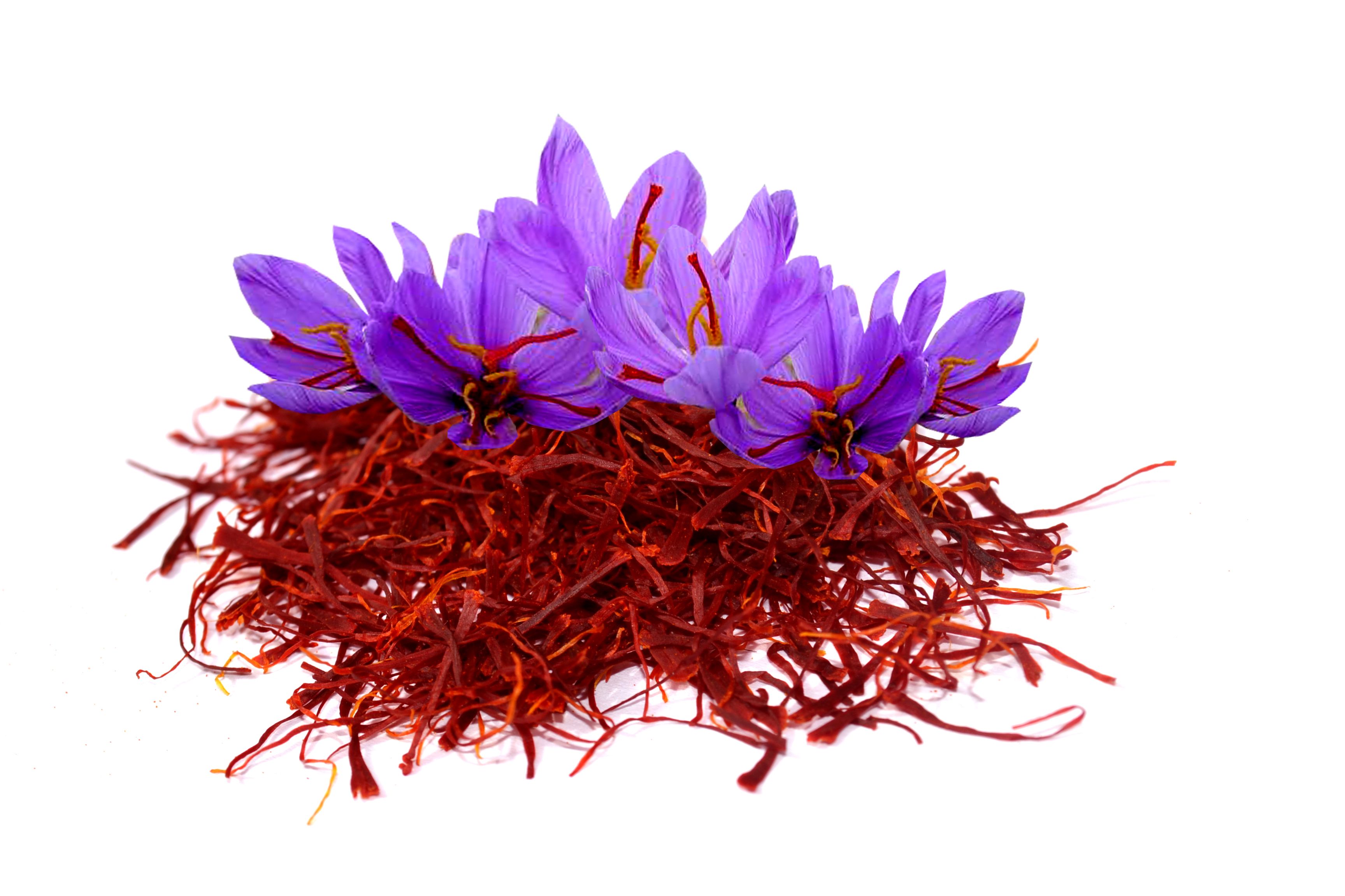 Shahtul Kashmiri Kesar(Saffron) 1 gm: Buy Shahtul Kashmiri Kesar