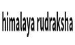 himalaya rudraksha