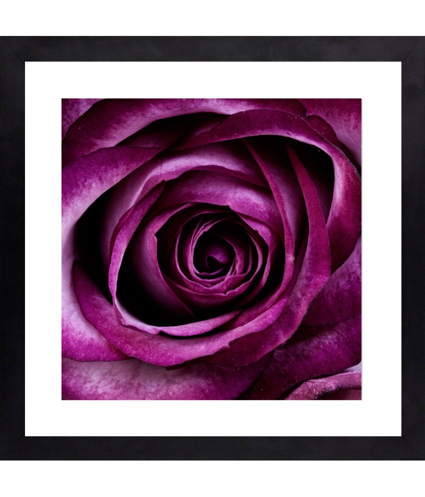 Craftsfest Purple Rose Canvas Painting With Frame Single Piece Craftsfest Purple Rose Canvas Painting With Frame Single Piece At Best Price In India On