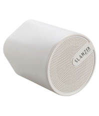slanzer speaker