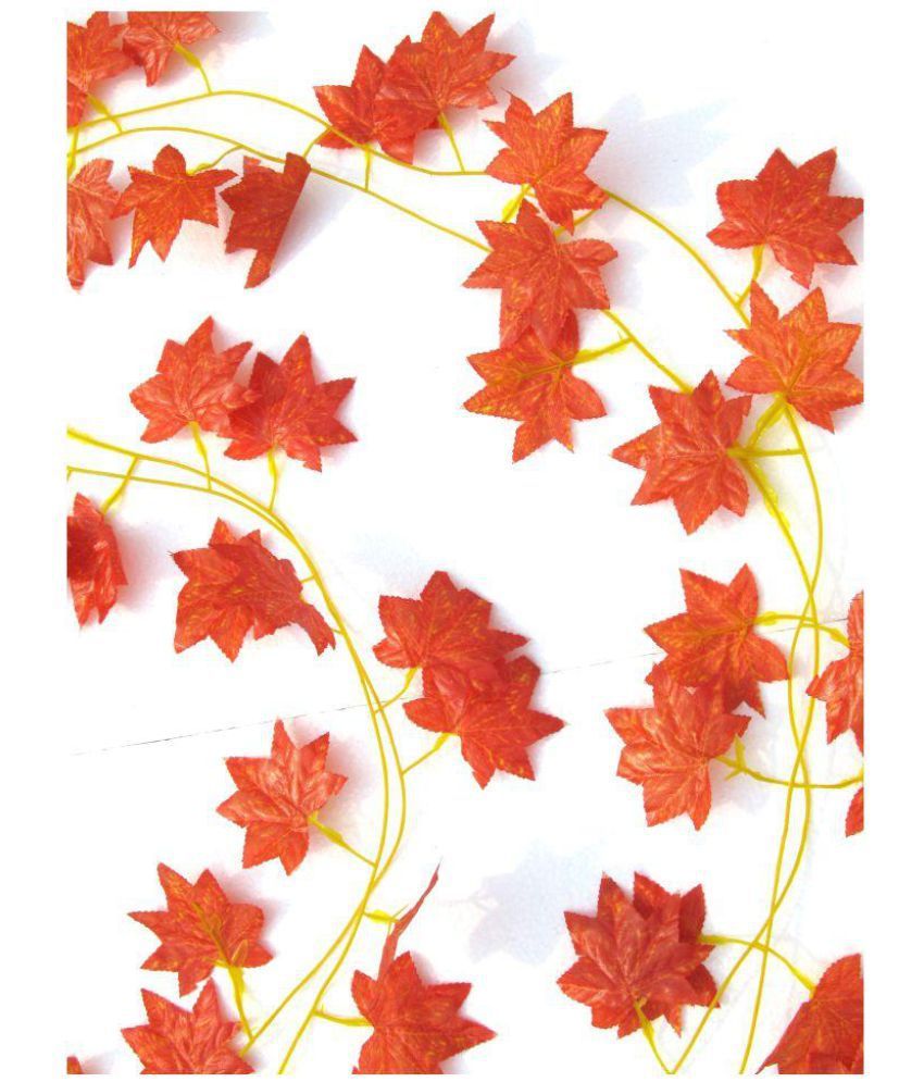 plastic creeper plants