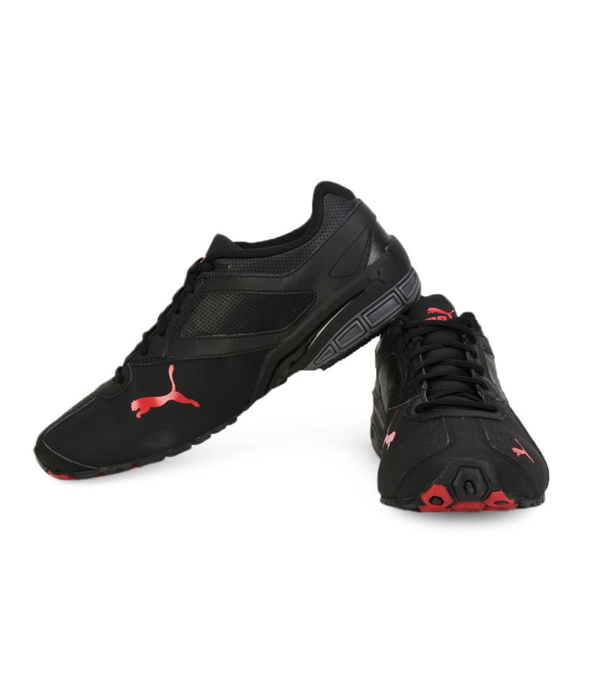 puma men's tazon 6 dp running shoes
