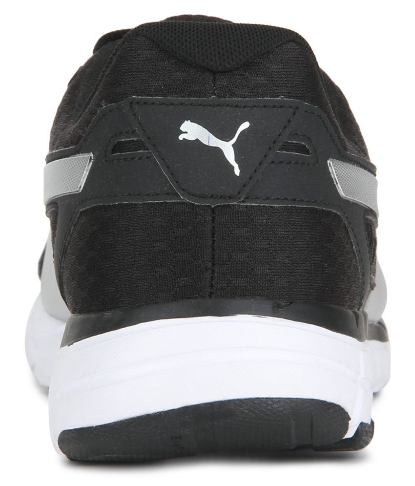 puma descendant