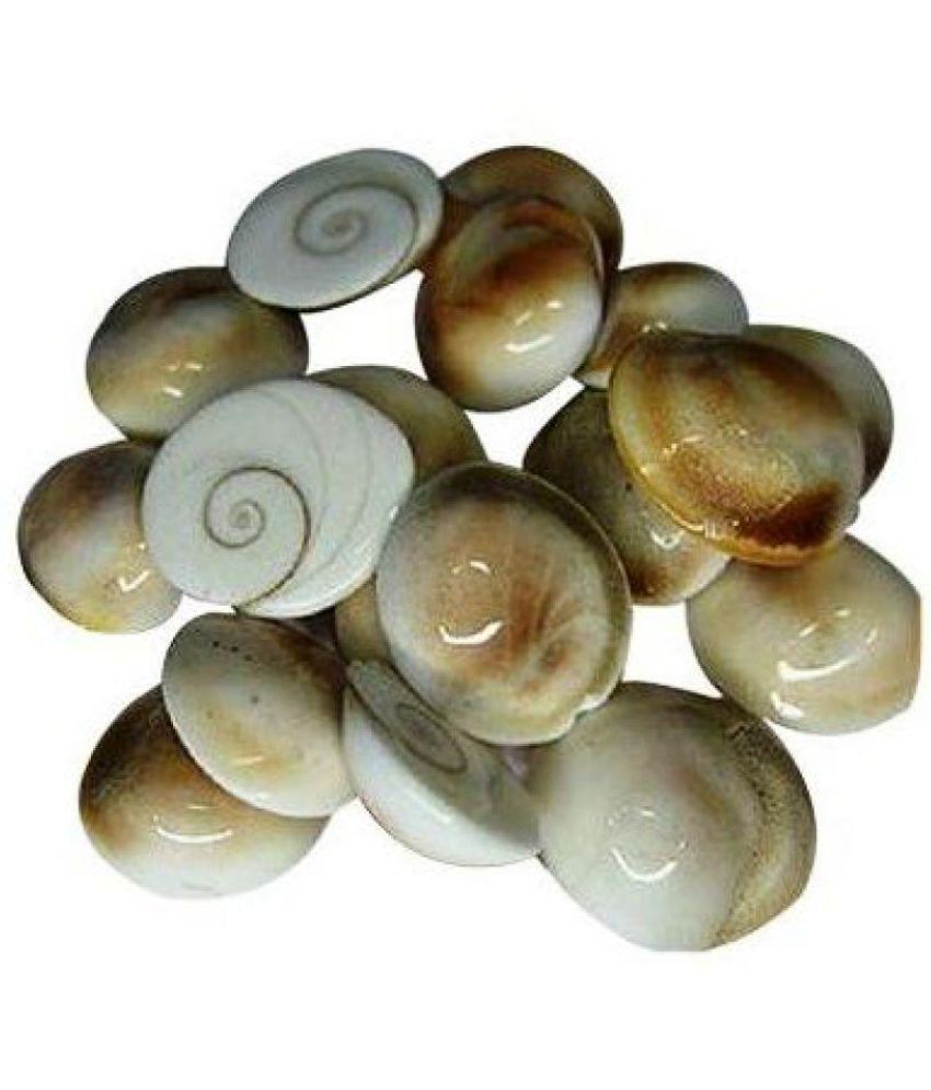     			SwadesiBuyzzar - Marble Gomti Chakra (Pack of 1)