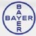 Bayer Contour Plus