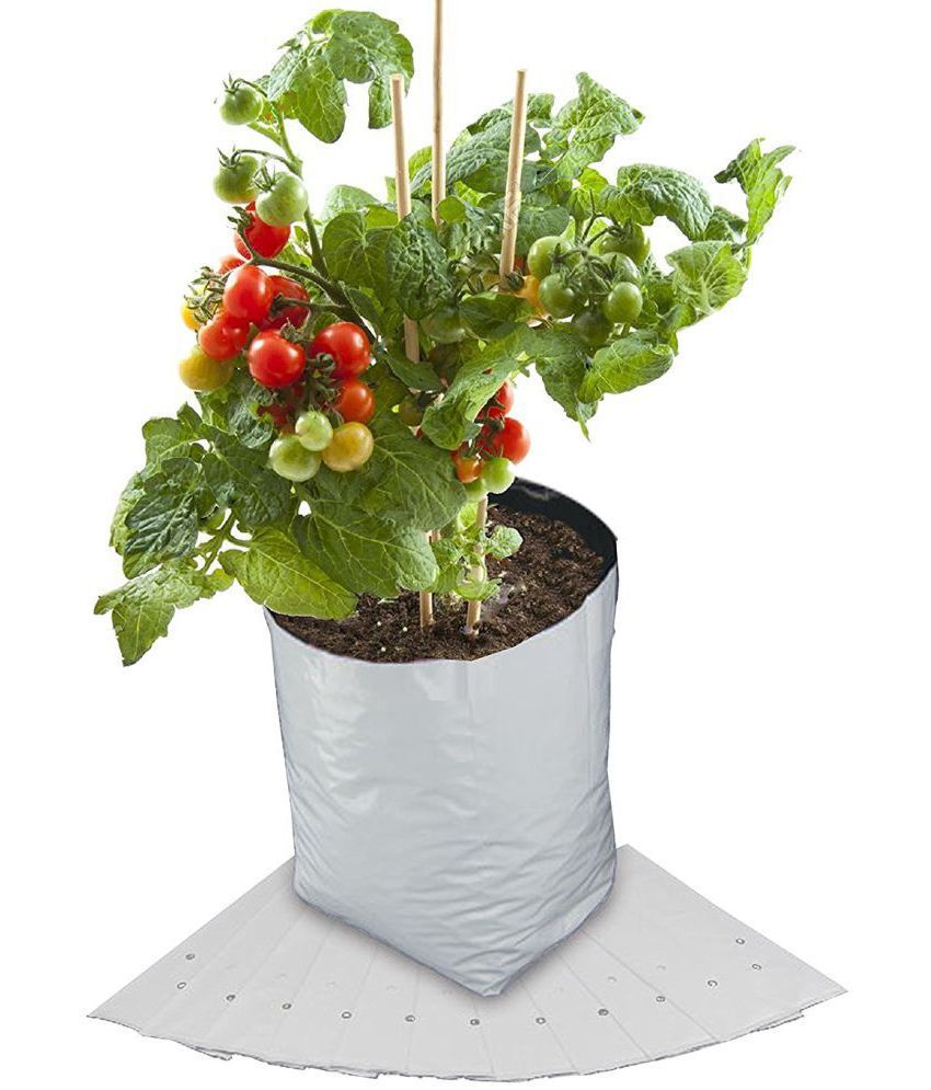 Elamgreen Grow bag 20x20x35cm 5bags Plant Bag Buy Elamgreen Grow bag