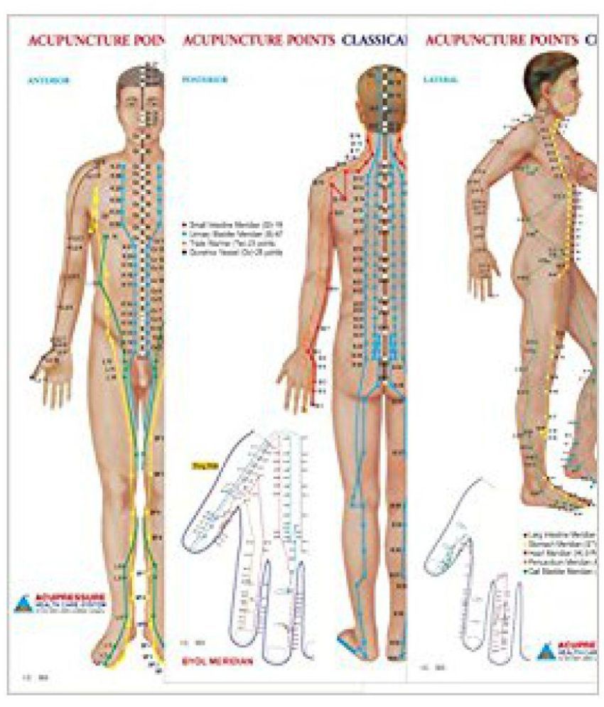 Acupuncture Points Chart Meridians Set of 3 Buy Acupuncture Points