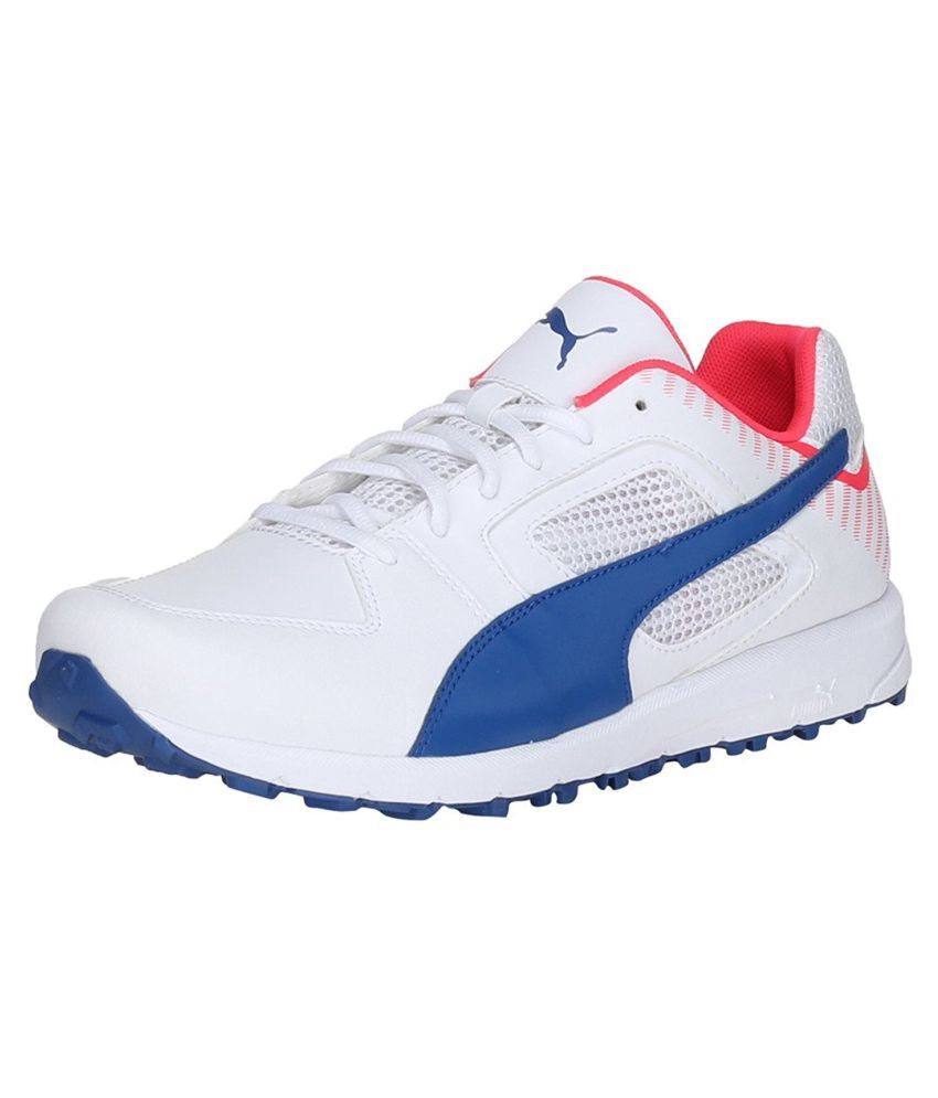 puma team rubber cricket shoes