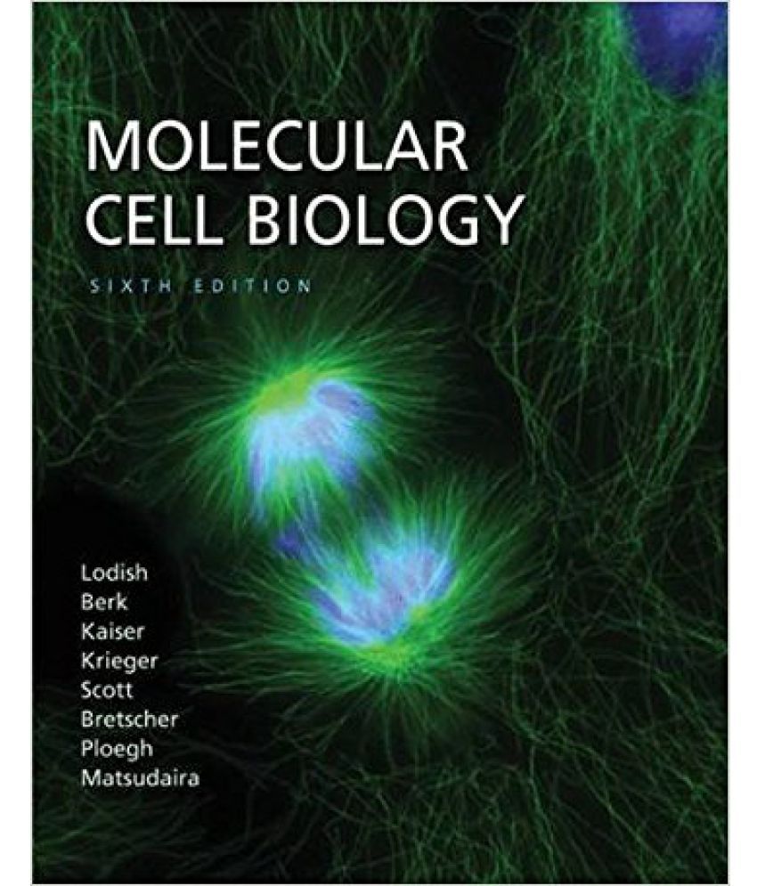 Molecular Cell Biology 6Th Edition 6Th Revised Edition Edition (English