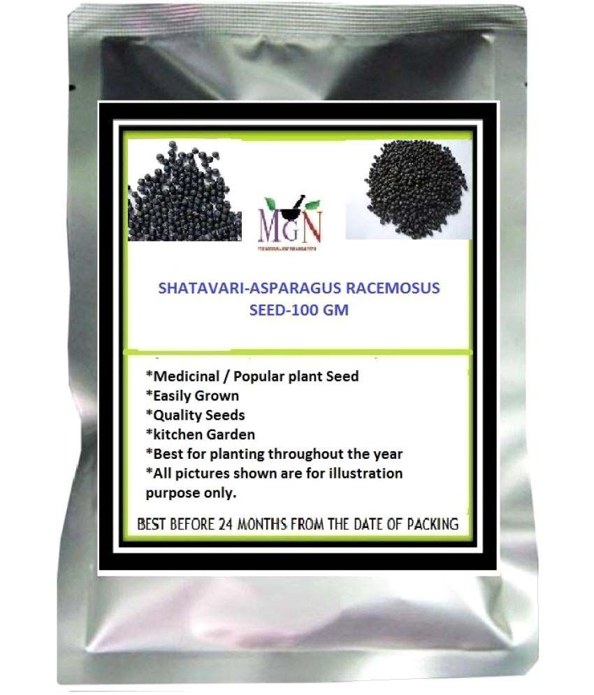 MG Naturals SHATAVARIASPARAGUS RACEMOSUS SEED250 GM Herb Seeds Buy