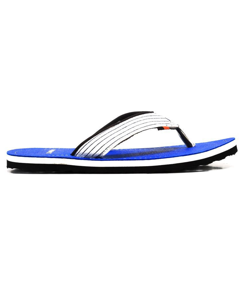 sparx sfg 529