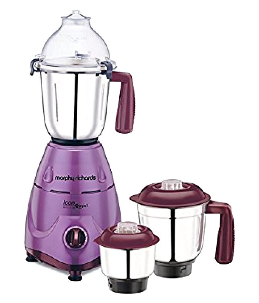 morphy mixer grinder price