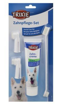 dog dental kit