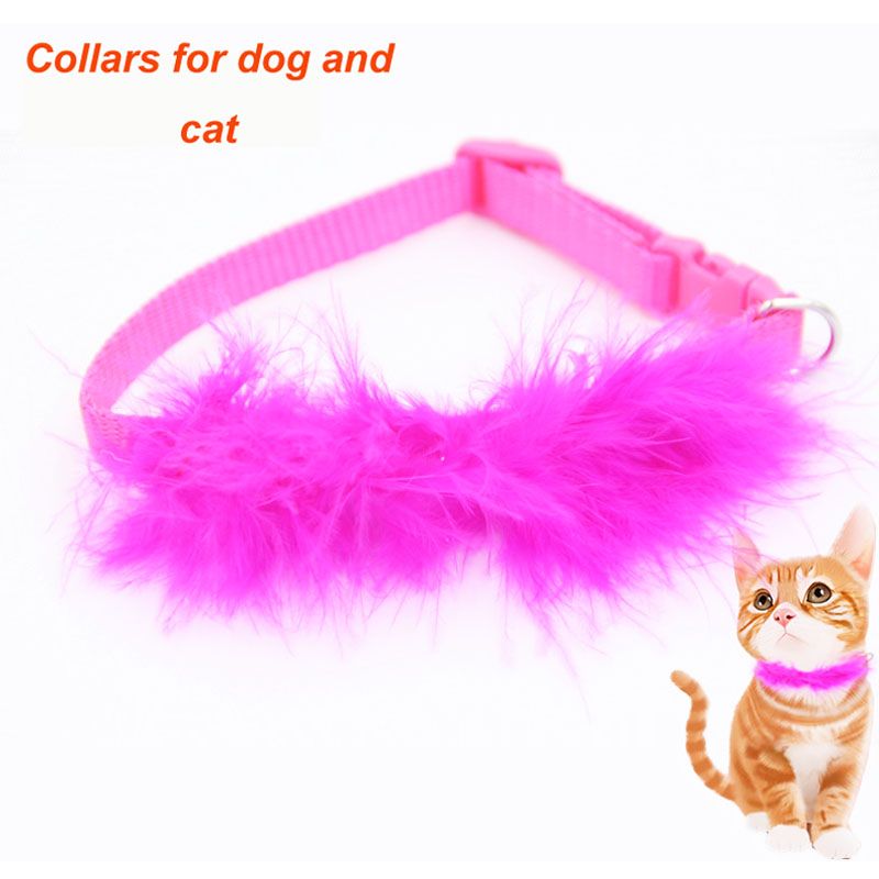 cheap cat collars