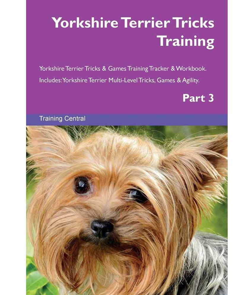 Yorkshire Terrier Tricks Training Yorkshire Terrier Tricks: Buy ...