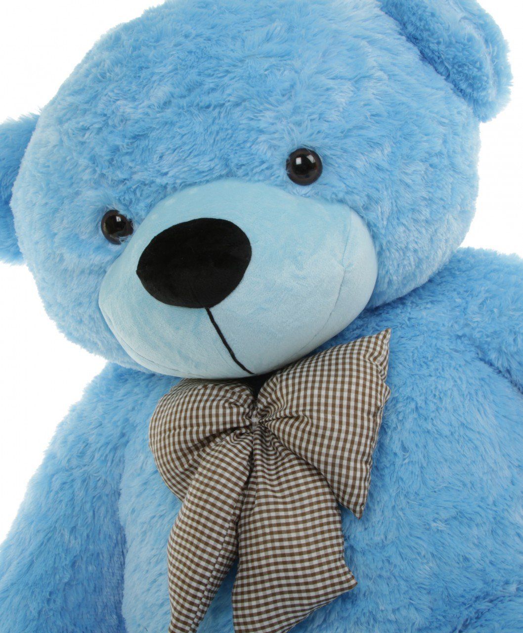 cute blue teddy bear