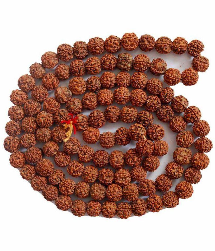     			vastughar 5Mukhi Rudraksh Mala (108+1 Beads )