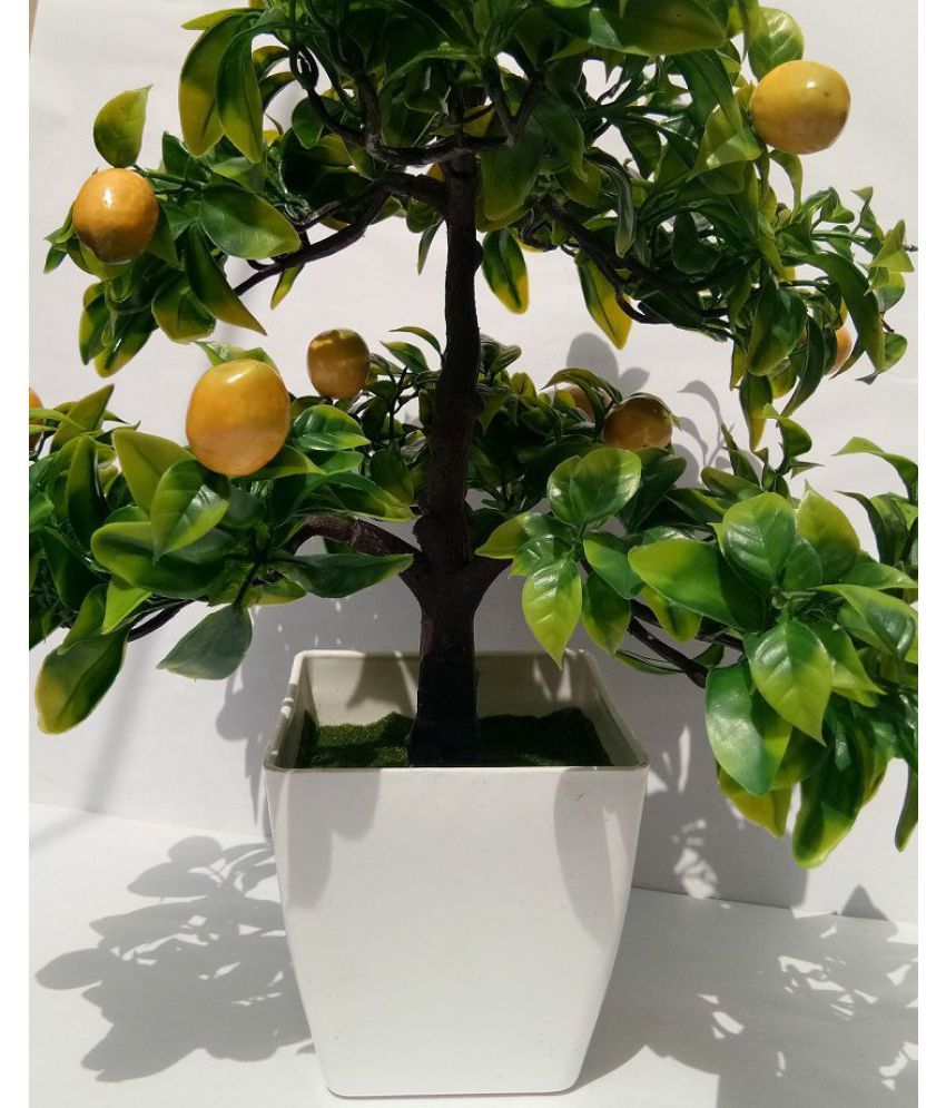 Aaryash Good Deals Bonsai Tree Multicolour Artificial Tree Plastic