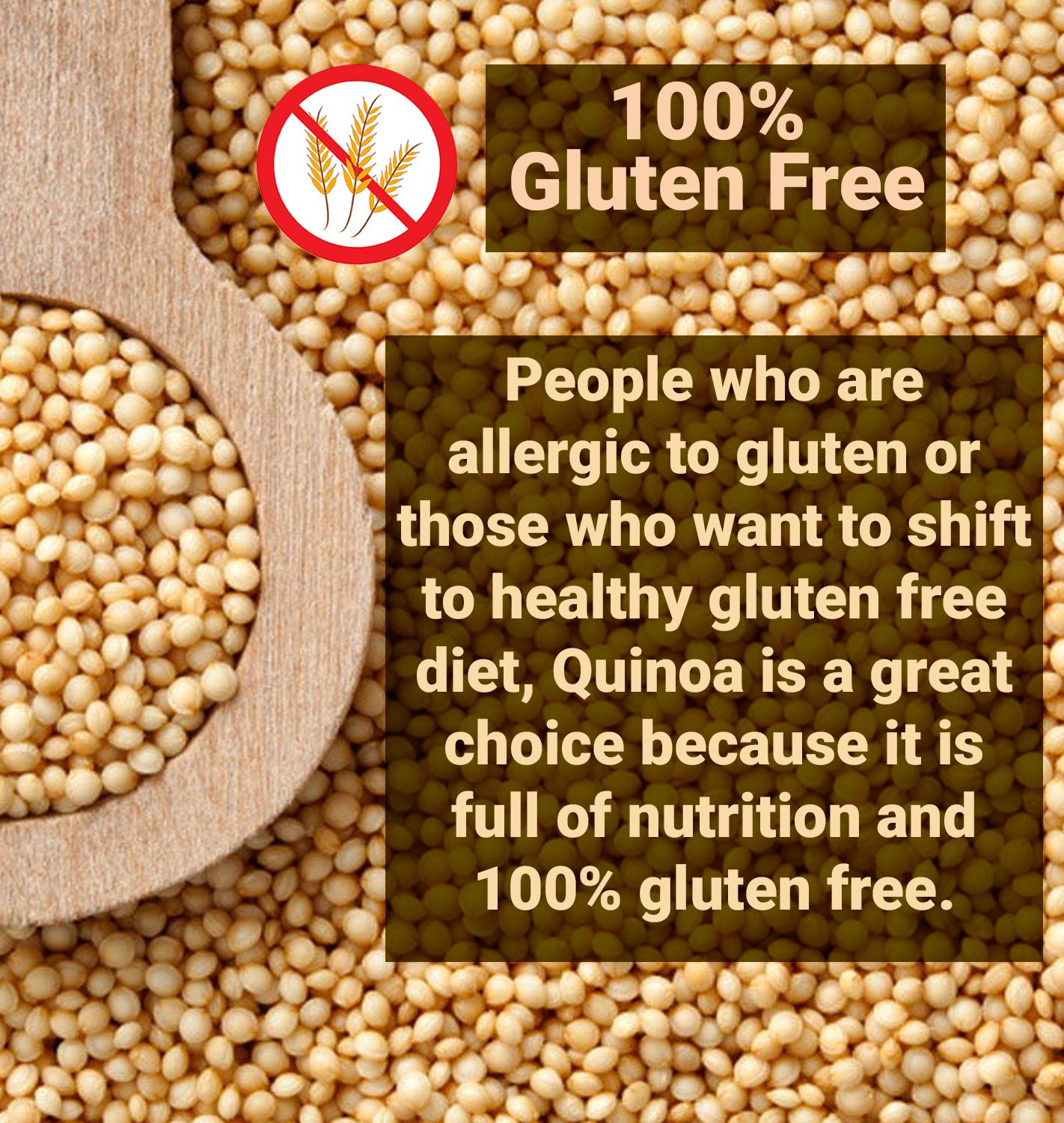 NutroActive Whole Natural Grains Quinoa 340 gm Buy NutroActive Whole